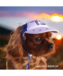 Cap for dog and cat rhinestones - blue or red