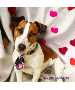 Accessory for deguisement boy child tie i love new york with hearts on trend Nancy, Grenoble, france, Neuilly...