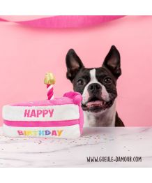 Peluche Part de Gâteau d'anniversaire pour chien
