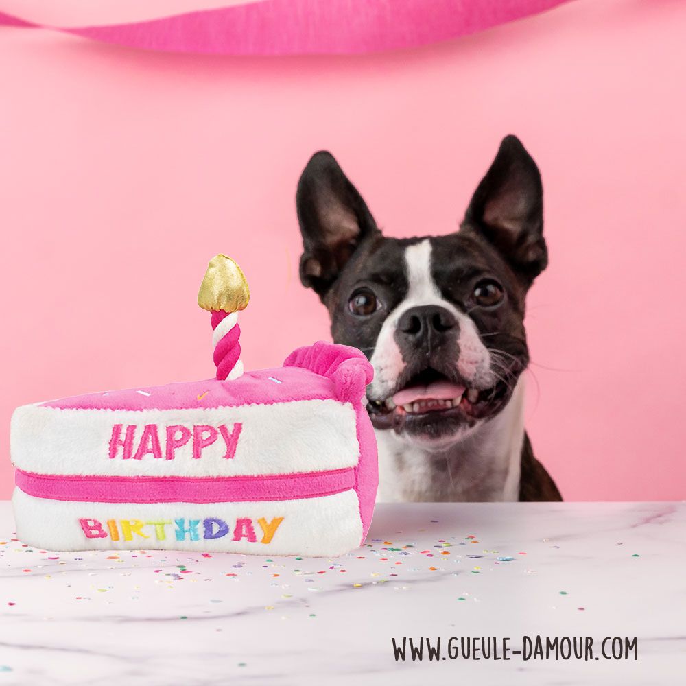 dog plush birthday cake