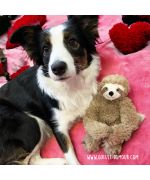peluche para perro de tamaño mediano
