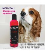 Shampooing hydratant pour chien
