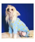 pajamas for animals