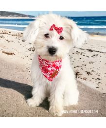 Collier foulard pour chien fleurs