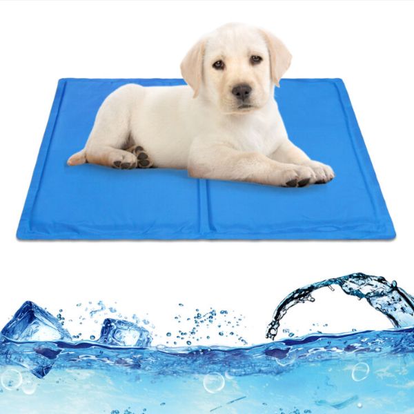 tapis rafraichissant pour chiens