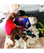 jersey de fútbol deporte perro gato equipo de españa copa del mundo de fútbol para mascotas barato boca de amor
