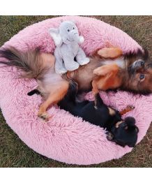 Ultra cozy dog and cat basket - Pink