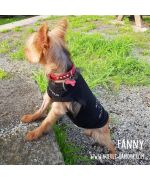 Small t-shirt for chihuahua, baby puppy cheap delivery Lyon, Marseille, Paris, Orléans, Vichy, Deauville, Cannes, St tropez