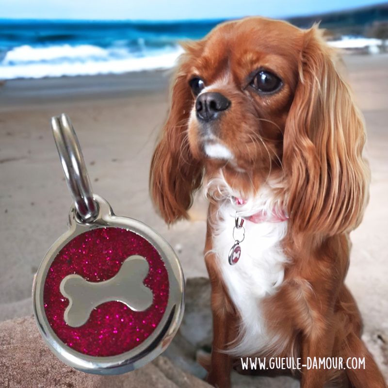 Médaille Chien Cavalier King Tricolore