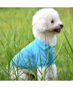 Polo pour chien - bleu