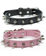 collar con tachuelas para perro pequeño