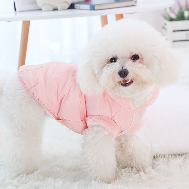 pink dog coat