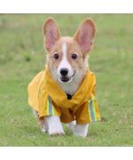 Manteau de pluie pour petit chien - réfléchissant
