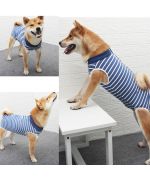 Protective coverall for dogs