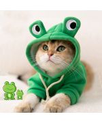 frog dog sweatshirt