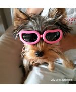 Sunglasses for small dog boutique Maw Love