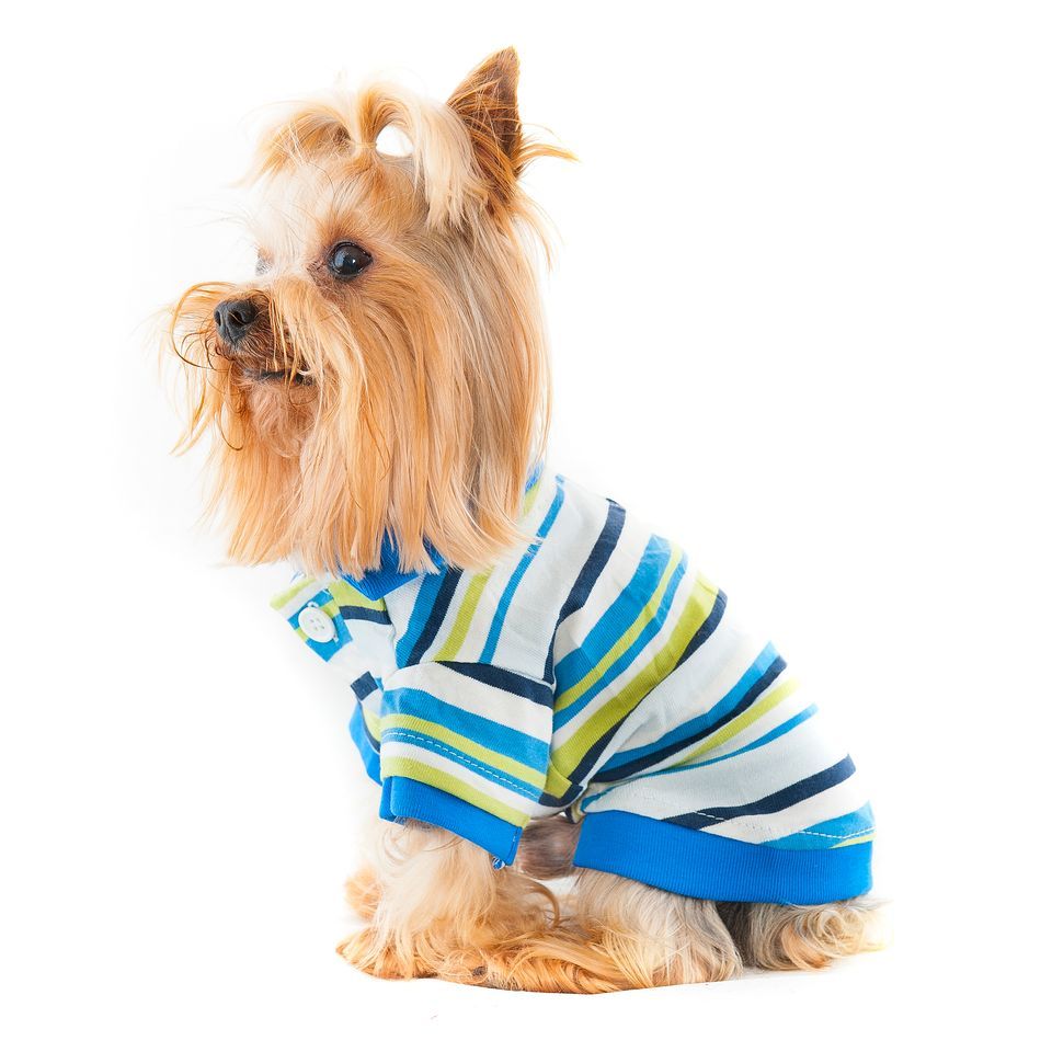 polo de clase chic para perros pequeños y grandes regalo original de navidad para perros para el verano o el invierno en