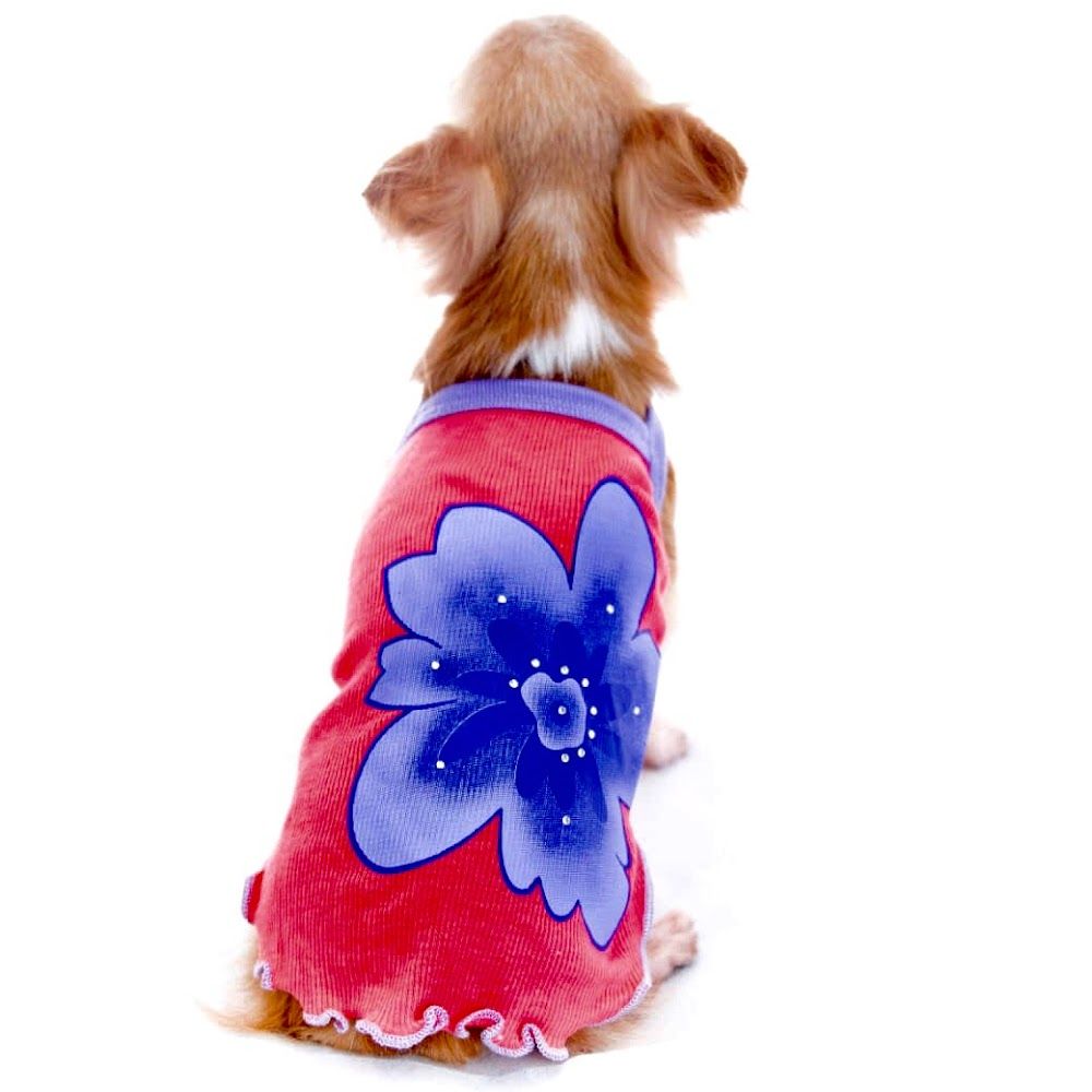 Traje de verano para perro pequeño, mini perro, raza miniatura para regalo de cumpleaños de moda original para animal pequeño