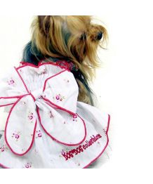 Robe pour chien fleurie