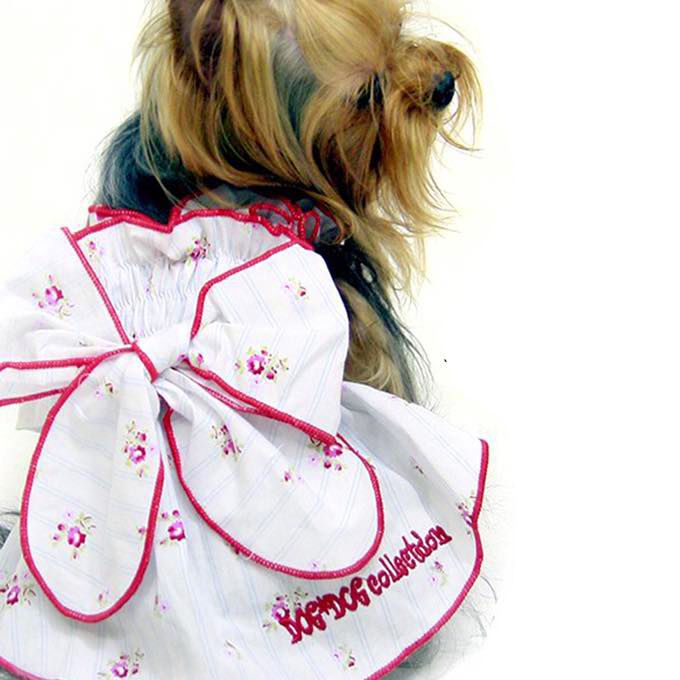 robe pour chien fleurie