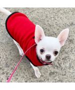 polaire pour chihuahua