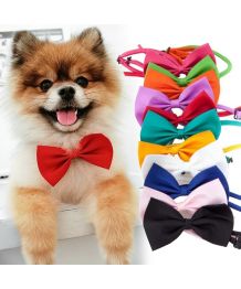 Bow tie for dogs and cats