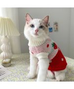 lindo suéter de perro