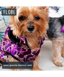 Abrigo para perros y gatos asiáticos - violeta