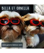 Sunglasses for small dog boutique Maw Love