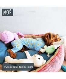 Pijamas para perro y gato Buenas noches