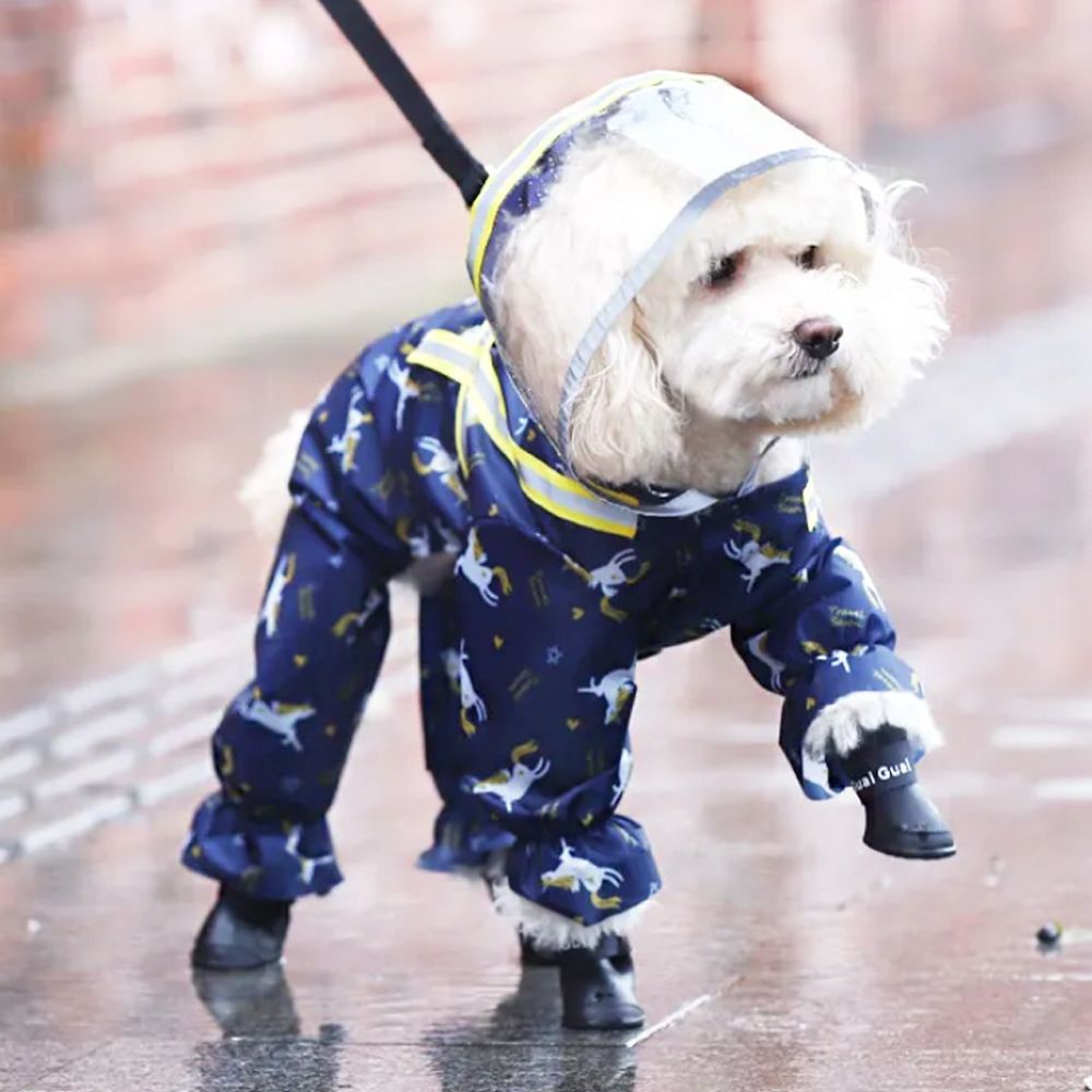 Vetement pluie 2025 chien