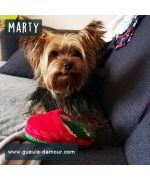 Zapatilla navideña de peluche para perros y gatos