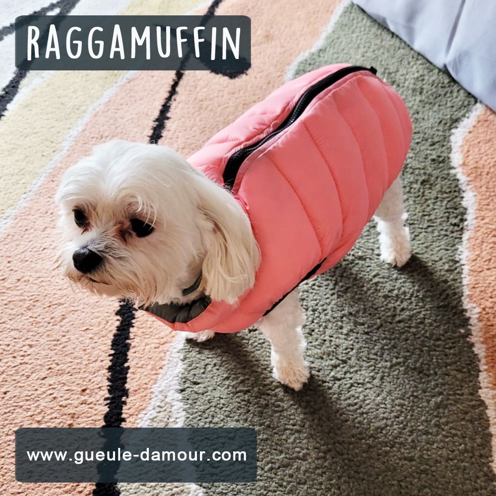 reversible down jacket for dogs