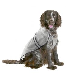Raincoat dog transparent