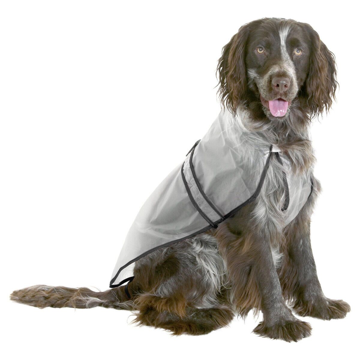 waterproof-transparent-classic-dogs-not-expensive-large-breed-size