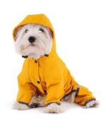 raincoat for Maltese bichon