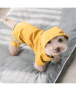 raincoat for bichon