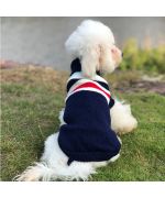 pull pour bichon chau pour l hiver