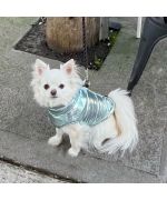 down jacket for chihuahua