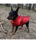 red coat for dog