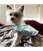 turquoise blue dog coat