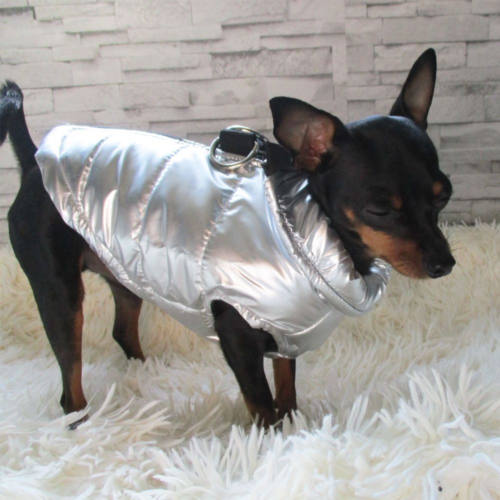 waterproof french bulldog jacket