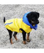 abrigo para perro bebe