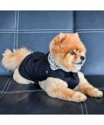 raincoat-for-dog-black-boutique-gueule-damour-marseille-paris-alpes-bretagne-nantes-montpellier