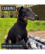 suéter de perro de lana negro barato lindo clásico tienda práctica ile de la reunion martinica dom tom