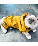 cat raincoat