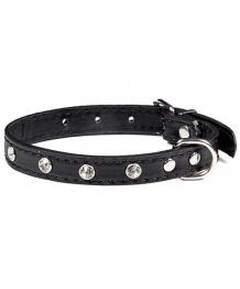 Dog collar rhinestone - black