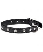 collar de perro negro con pedrería una fila chihuahua cachorro de perro pequeño bichon caniche jack russel yorkshire