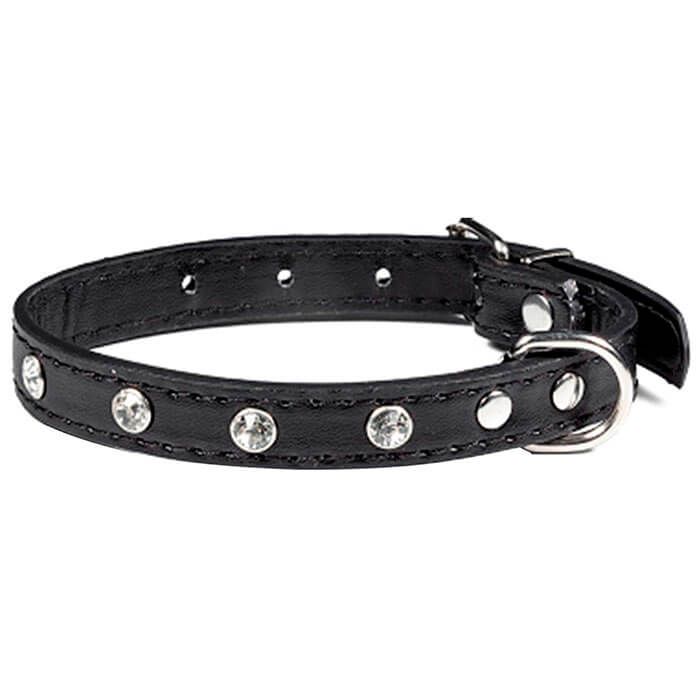 collier noir pour petit chien à strass