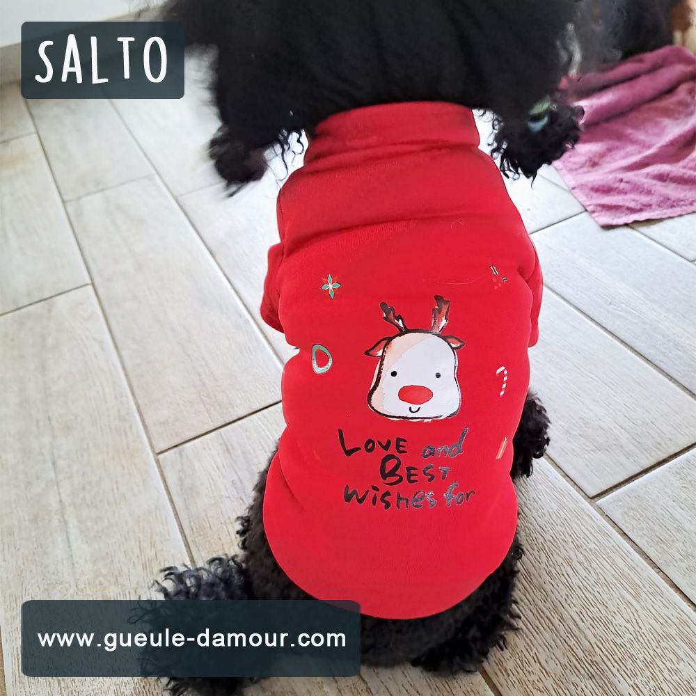 Jersey navideño para perros pequeños talla M